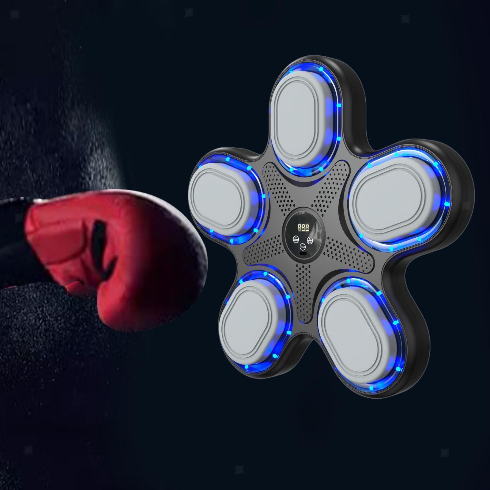 OEM Factory New Style Music Bo - огляд і ціна Boxing Punching Bag