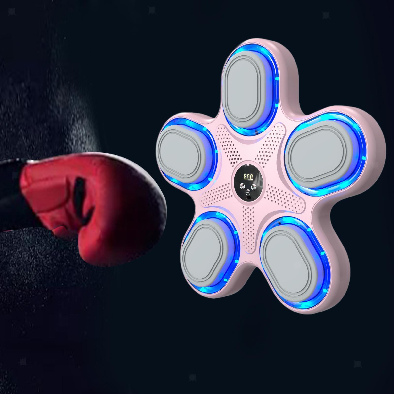 OEM Factory New Style Music Bo - огляд і ціна Boxing Punching Bag